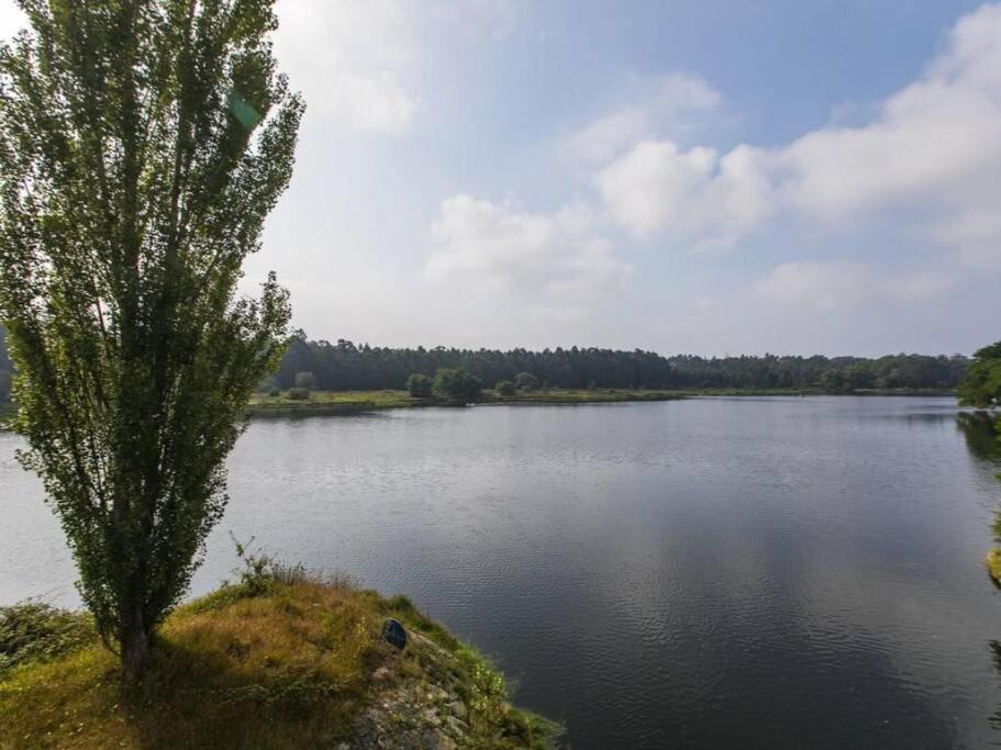 Quinta Da Barca House - Nada Melhor Que Juntar Luxo A Lazer Com Mar E Rio! 埃斯波森迪 外观 照片